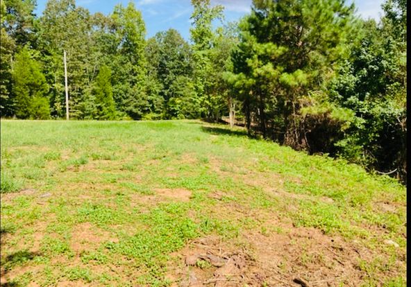 Lot 33 Woodgate Shores Dr: Lot 33 Woodgate Shores Dr, Wedowee, AL 36278
